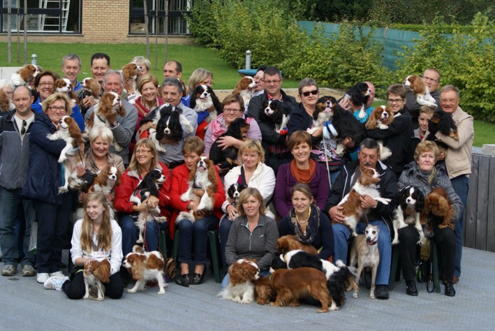 Belgian Cavalier Club