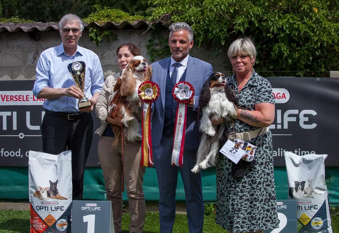 Belgian Cavalier Club